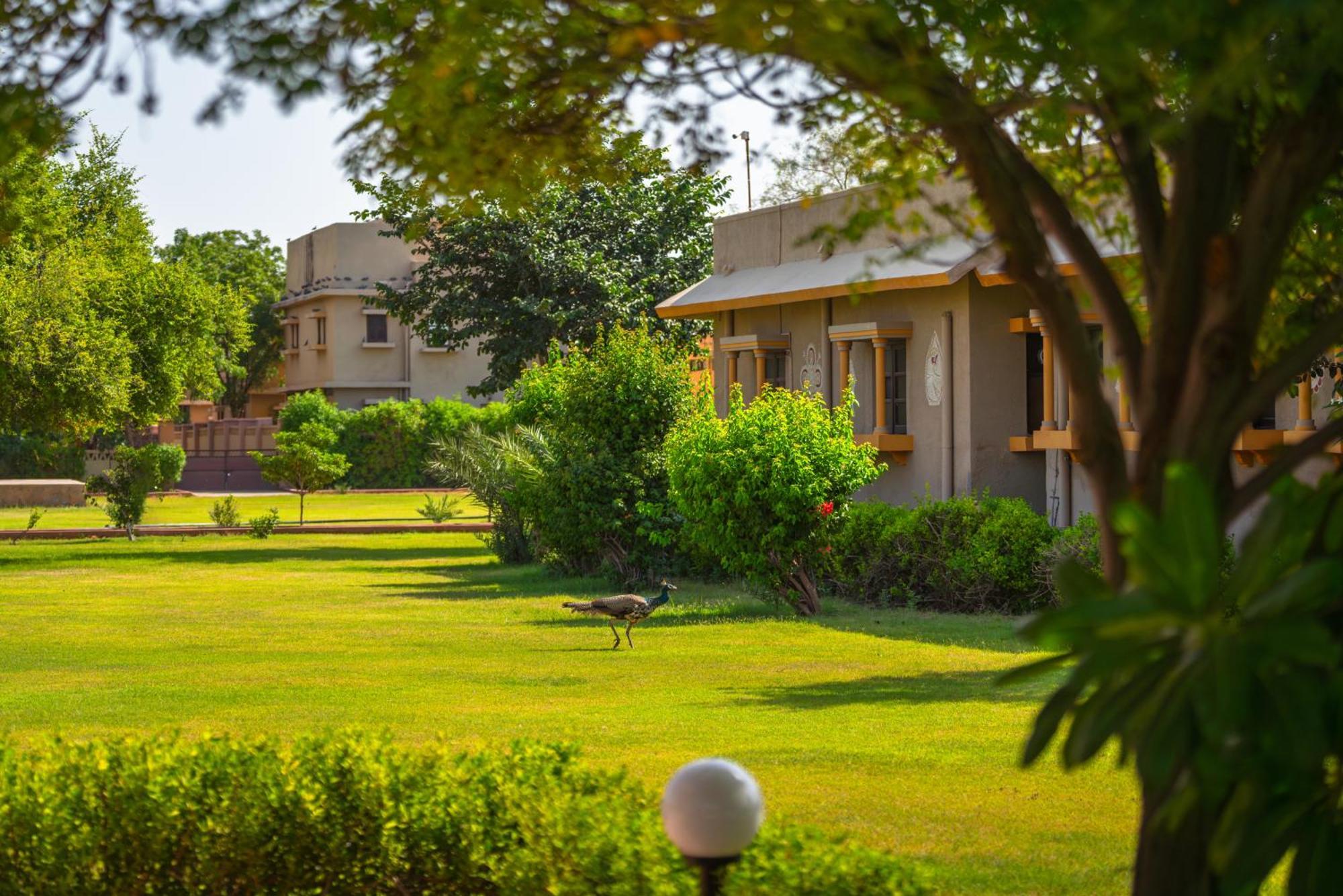 Thar Oasis Resort And Camp Dechu ภายนอก รูปภาพ